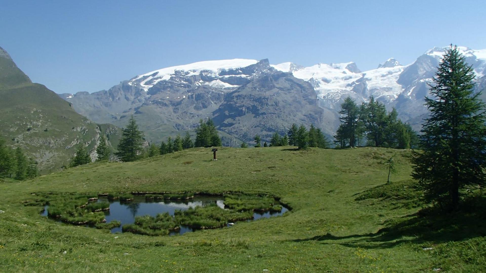 Champoluc Apartment Kültér fotó